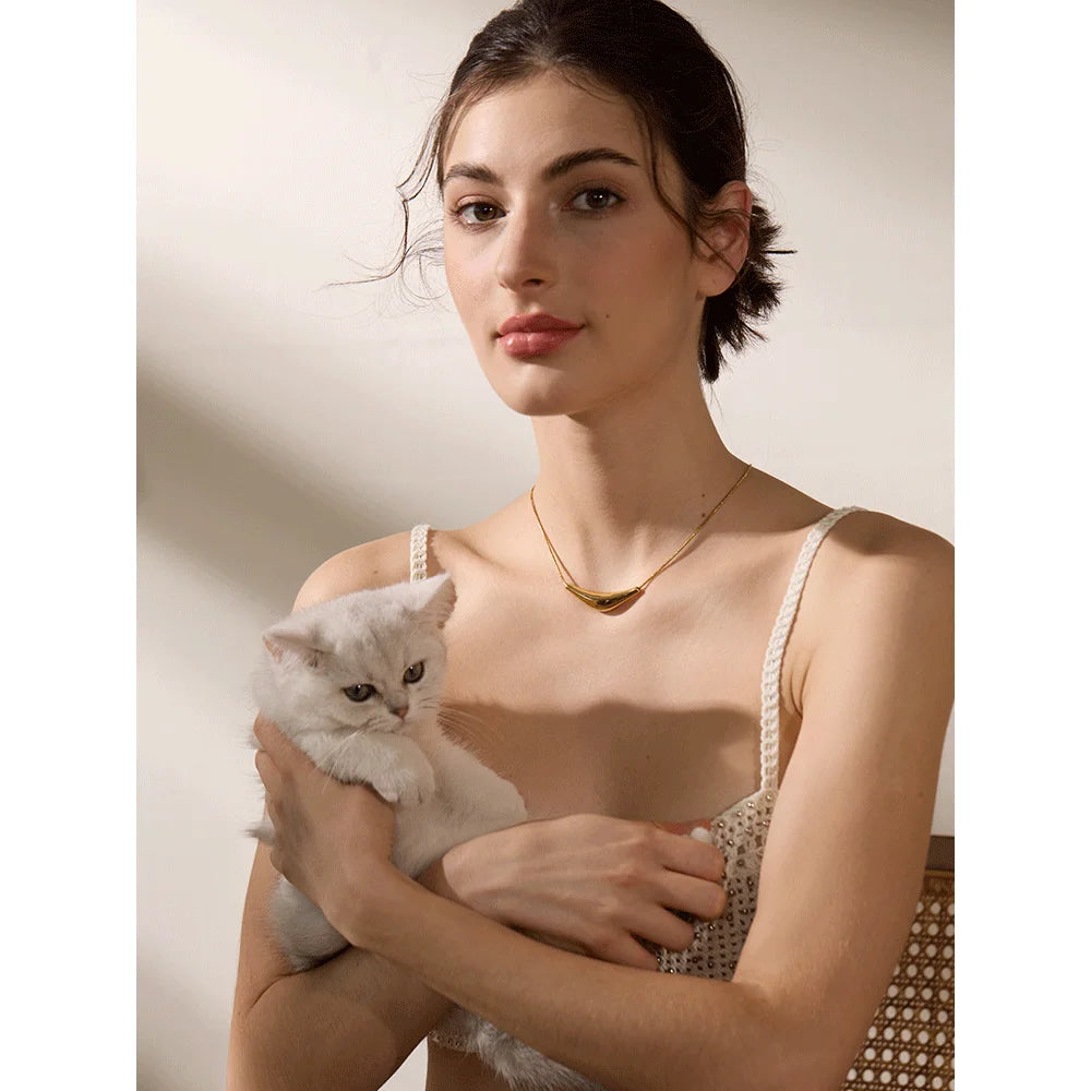 18K Gold PVD Pendant Clavicle Necklace